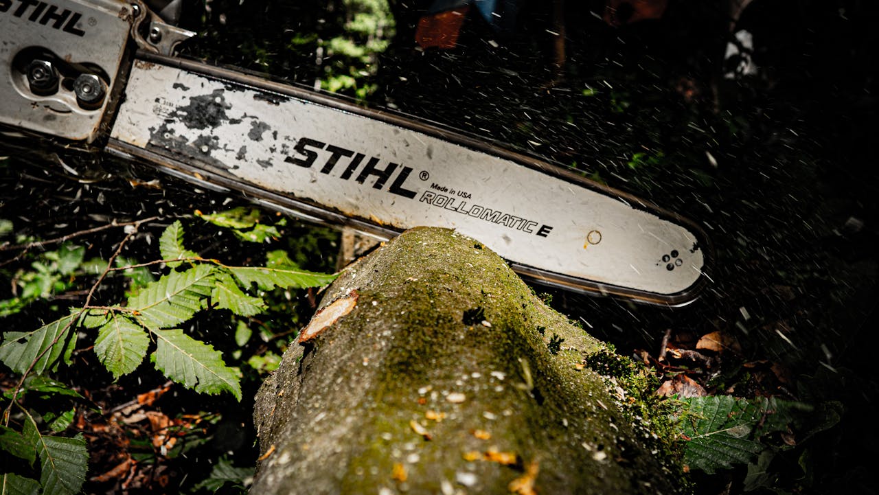 The Art of Drawing Readers In: Your attractive post title goes here Powerful chainsaw slicing through a tree log in a dense forest in Hohenstein, Germany.